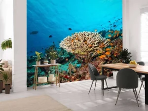 Sale Koraalrif op de bodem van de Indische Oceaan fotobehang Dieren