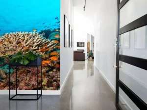Sale Koraalrif op de bodem van de Indische Oceaan fotobehang Dieren