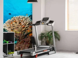 Sale Koraalrif op de bodem van de Indische Oceaan fotobehang Dieren