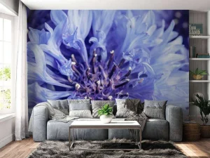 Best Korenbloem close-up fotobehang Bloemen