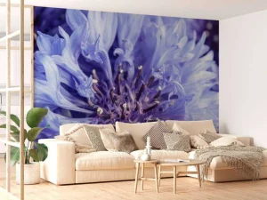 Best Korenbloem close-up fotobehang Bloemen