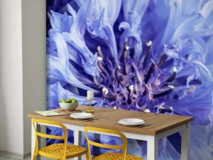 Best Korenbloem close-up fotobehang Bloemen