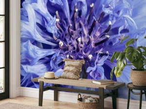Best Korenbloem close-up fotobehang Bloemen