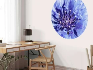 Best Korenbloem close-up fotobehang Bloemen