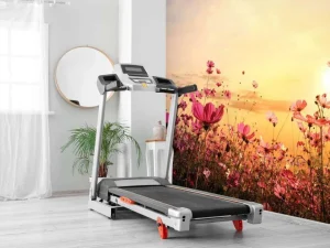 New Kosmos Bloem tijdens Zonsondergang fotobehang Bloemen