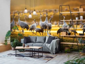 Sale Kraanvogels in de ochtend fotobehang Dieren