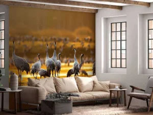 Sale Kraanvogels in de ochtend fotobehang Dieren