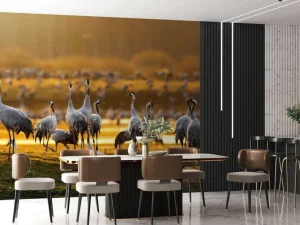 Sale Kraanvogels in de ochtend fotobehang Dieren