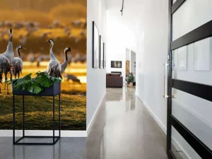 Sale Kraanvogels in de ochtend fotobehang Dieren