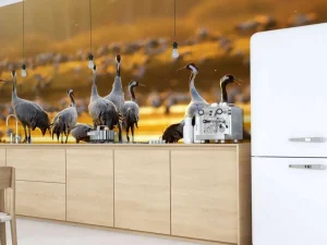 Sale Kraanvogels in de ochtend fotobehang Dieren