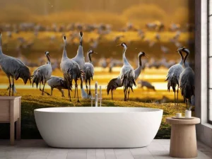 Sale Kraanvogels in de ochtend fotobehang Dieren