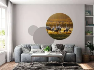 Sale Kraanvogels in de ochtend fotobehang Dieren