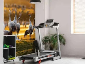 Sale Kraanvogels in de ochtend fotobehang Dieren