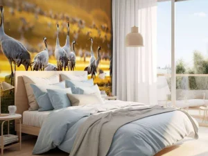 Sale Kraanvogels in de ochtend fotobehang Dieren