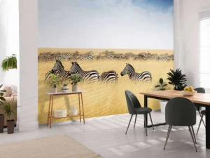 Clearance Kudde zebra's in Kenia fotobehang Dieren