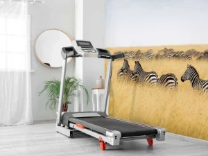 Clearance Kudde zebra's in Kenia fotobehang Dieren