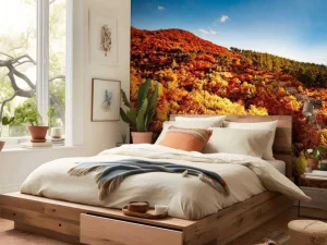 Sale Landschap met gekleurde bomen fotobehang Bloemen