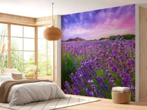 Hot Lavendel met zonsondergang fotobehang Bloemen
