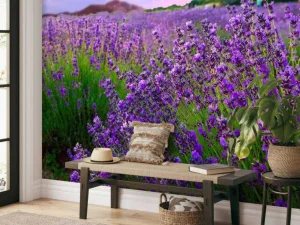 Hot Lavendel met zonsondergang fotobehang Bloemen