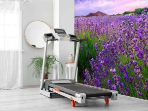 Hot Lavendel met zonsondergang fotobehang Bloemen