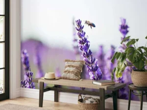 Outlet Lavendel steel close-up fotobehang Bloemen