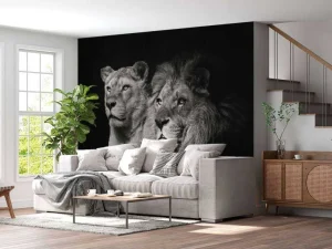 New Leeuw & Leeuwin Zwart-Wit fotobehang Dieren