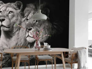 New Leeuw & Leeuwin Zwart-Wit fotobehang Dieren