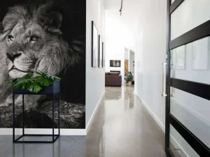 New Leeuw & Leeuwin Zwart-Wit fotobehang Dieren
