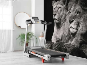 New Leeuw & Leeuwin Zwart-Wit fotobehang Dieren