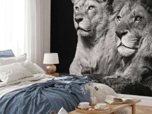New Leeuw & Leeuwin Zwart-Wit fotobehang Dieren