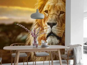 Sale Leeuw in een savanne landschap fotobehang Tienerkamer | Dieren