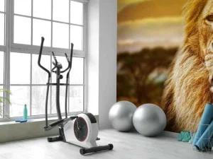 Sale Leeuw in een savanne landschap fotobehang Tienerkamer | Dieren