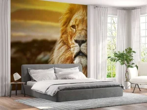 Sale Leeuw in een savanne landschap fotobehang Tienerkamer | Dieren