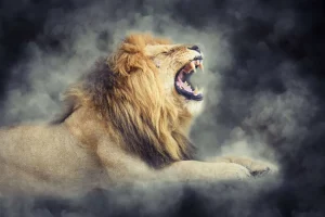 Online Leeuw in rook met een donkere achtergrond fotobehang Tienerkamer | Dieren