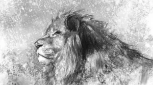 Best Leeuw tekening fotobehang Tienerkamer | Dieren