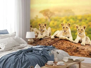 Outlet Leeuwenwelpen wachten op hun moeder fotobehang Tienerkamer | Hobbykamer