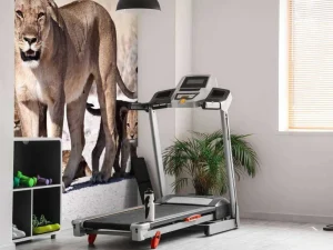 Hot Leeuwin met haar welpen fotobehang Dieren
