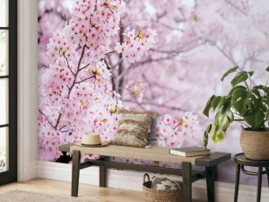Outlet Lichte Bloesem in Korea fotobehang Bloemen
