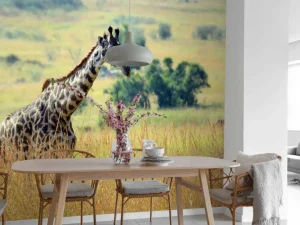 Online Lichte Giraffe in de natuur fotobehang Dieren