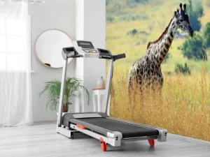 Online Lichte Giraffe in de natuur fotobehang Dieren