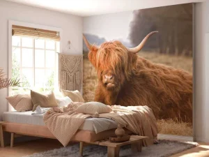 Outlet Liggende Hooglander in Wei fotobehang Dieren
