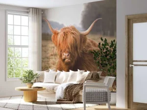 Outlet Liggende Hooglander in Wei fotobehang Dieren