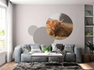 Outlet Liggende Hooglander in Wei fotobehang Dieren