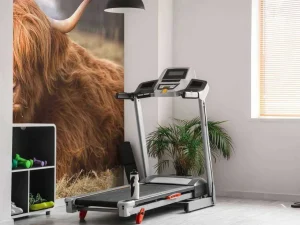 Outlet Liggende Hooglander in Wei fotobehang Dieren