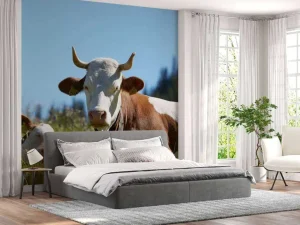 Best Liggende Koe en Kalf fotobehang Dieren