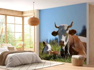 Best Liggende Koe en Kalf fotobehang Dieren