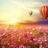 Online Luchtballonnen boven een bloemenveld fotobehang Transport | Bloemen