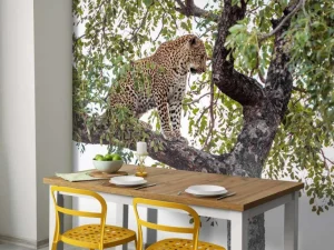 Discount Luipaard in Kruger National Park fotobehang Dieren | Bloemen