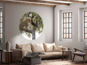 Discount Luipaard in Kruger National Park fotobehang Dieren | Bloemen