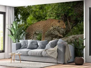 Clearance Luipaard klimt in een boom fotobehang Tienerkamer | Dieren